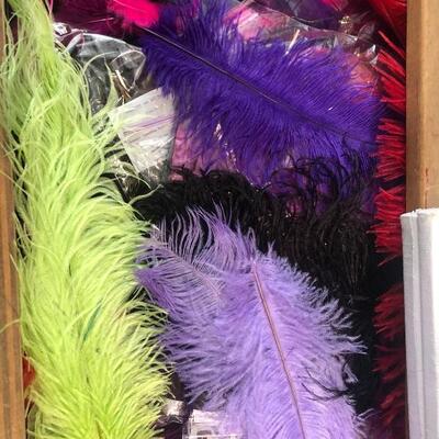 Feathers for crafts 