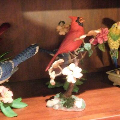 Bird Collection