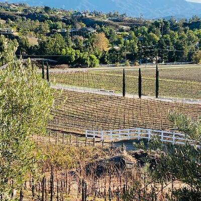 In Temecula's wine country