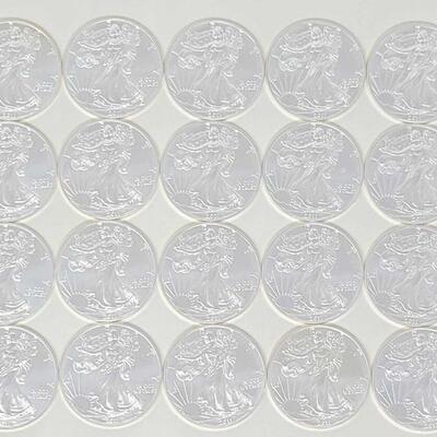 512	

20 1 Oz American Silver Eagle One Dollar Coin, 20 Oz
Weighs Approx 20 Oz