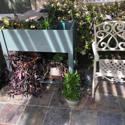 Lots of succulents and outdoor potting bench