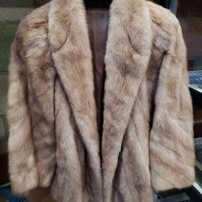 #896 â€¢ Fur Coat with Dust Cover