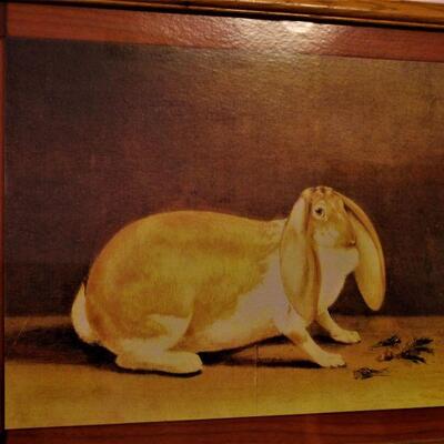 Bunny artwork.