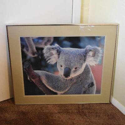 Koala Artwork