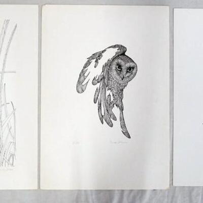 1073	LOT OF THREE SIGNED MURRAY BLOOM LIMITED EDITION PRINTS, ONE DEPICTING AN OWL LOOKING OVER ITS SHOULDER NO. 51/600, ANOTHER ONE...