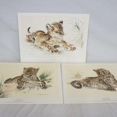 1087	LOT OF THREE RALPH THOMPSON ART POSTERS OF LION/LEOPARD CUBS PUBLISHED BY GANYMED PRESS LONDON LIMITED, LARGEST IS 18 3/4 IN X 25...