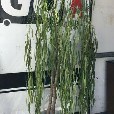 https://www.ebay.com/itm/114764912042	KG0050 FAUX FLORAL PLANT WILLOW TREE HOME OFFICE DÉCOR Local Pickup		Buy-It-Now	19.99...