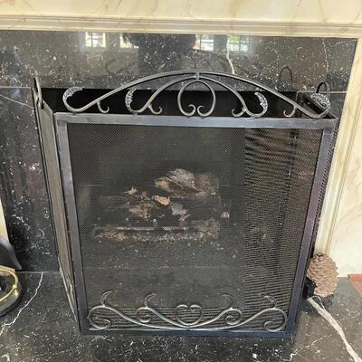 Fire Place Screen $200