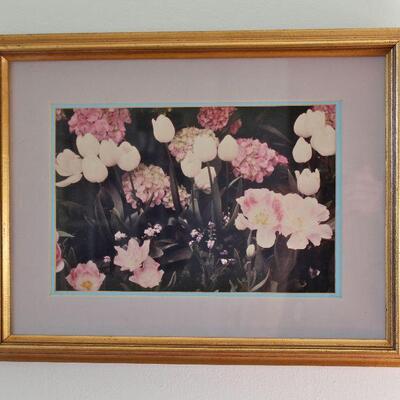 A collection of art photographs including florals and landscapes.