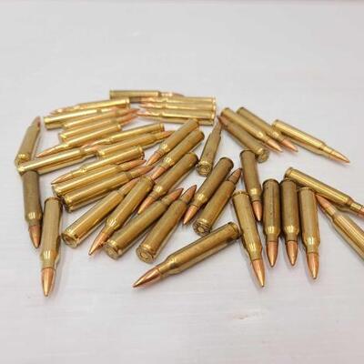 950 • Approx 40 Rounds Of .223 Remington Ammo