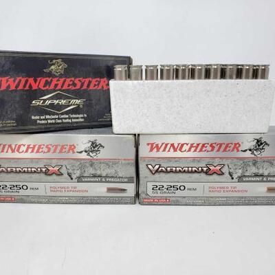 1056 • 60 ROUNDS WINCHESTER 22-250 REM