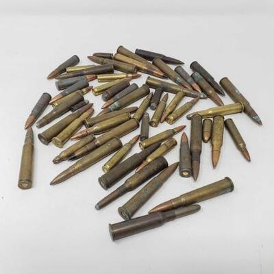 #981 • 50 ROUNDS DIFFERENT LARGE RIFLE