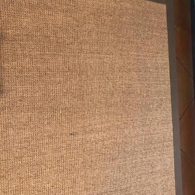 Pottery Barn Sissel rug $295 as is/ minor stains
10 X 14'