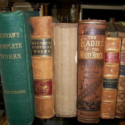 Various 19th Century Books
