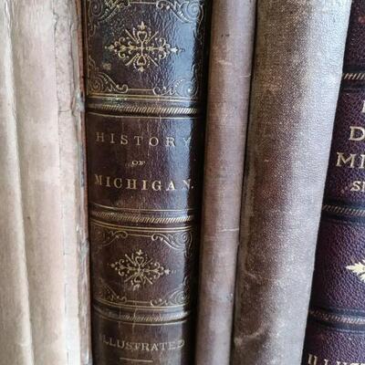 1873 History of Michigan