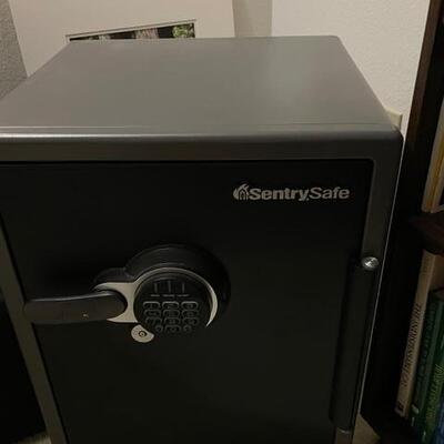Sentry safe
