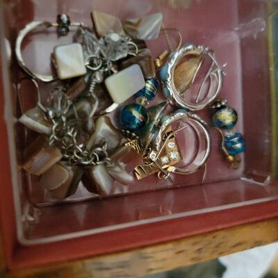 Jewelry/ earrings