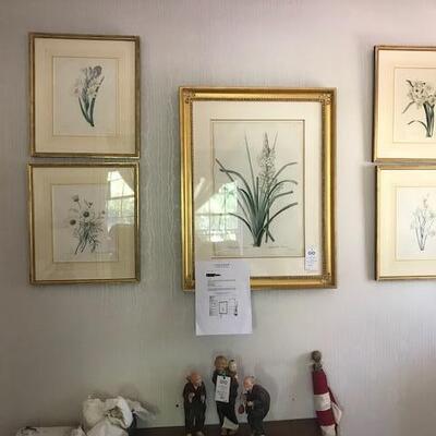 Beautifully Framed Botanical Prints