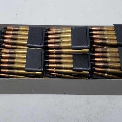 8666	

202 rounds of Ammunition
202 rounds of Ammunition