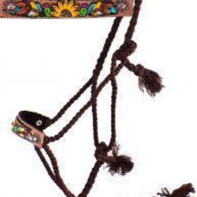 ShowmanÂ® Woven brown nylon mule tape halter with hand painted feather, sunflower and cactus noseband