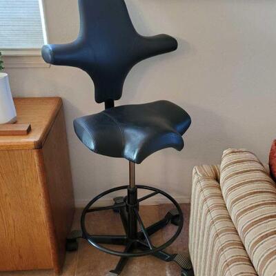 2372	

Adjustable Rolling Chair
Adjustable Rolling Chair