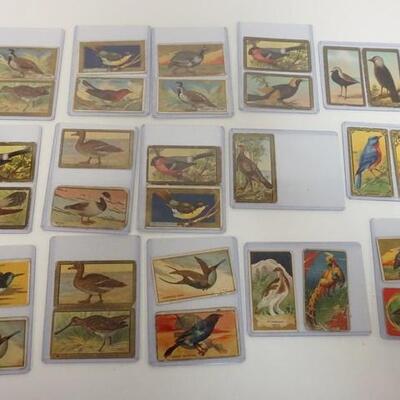 1043	21 MECCA CIGARETTE CARDS, BIRD SERIES
