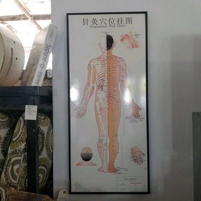 Framed acupuncture chart