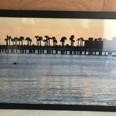 Dolphin in St. Pete Bay  Signed Artist Photo