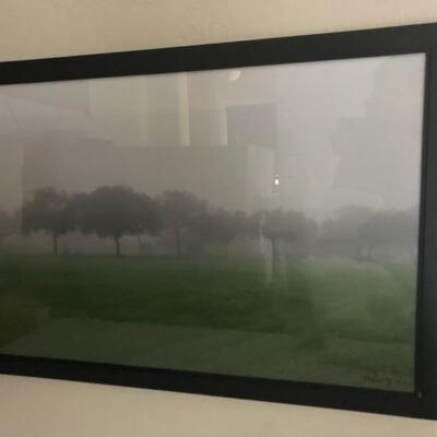 Misty Trees at Vinoy Park Signed Artist photo