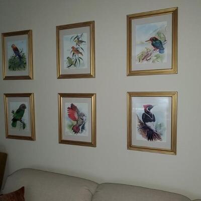Bird prints - set of 6