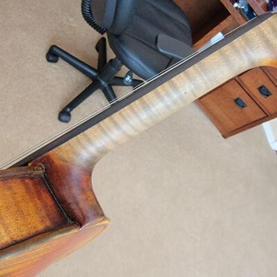Violin detail