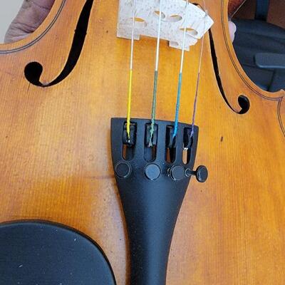 Violin detail