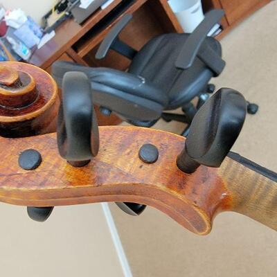 Violin detail
