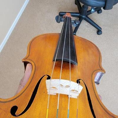 Violin detail