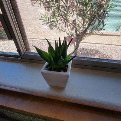Mini succulent planter