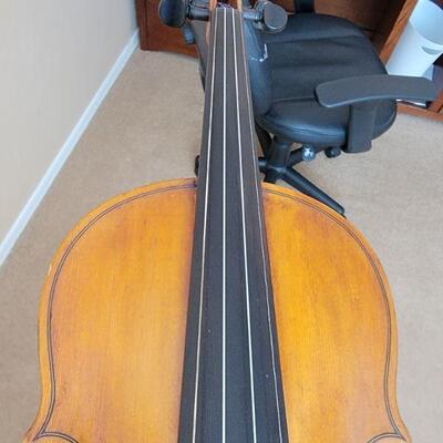 Violin detail