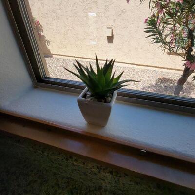 Mini succulent planter