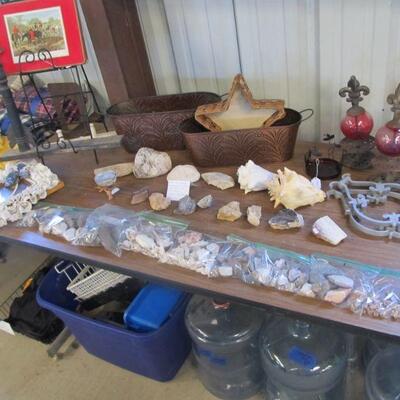 Large selection of Fossils, Seashells, Minerals, Crystals, etc.