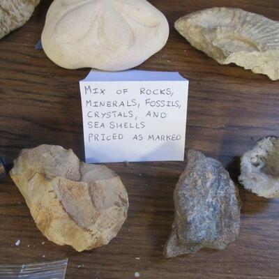 Large selection of Fossils, Seashells, Minerals, Crystals, etc.