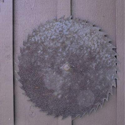 SAW BLASADES  LARGE  70.00  SMALL  50.00