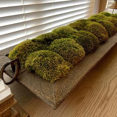 Uttermost preserved moss tray