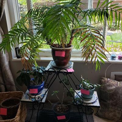Metal & Tile Plant Stand w/ Misc. Plants