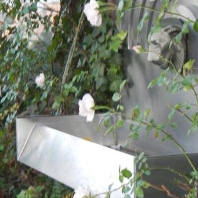 Lion water fountain 