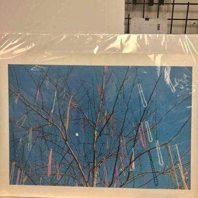 https://www.ebay.com/itm/124755342892	Cma2082: Vintage Poster of a Photograph of a Tree with Mardi Gras Beads
