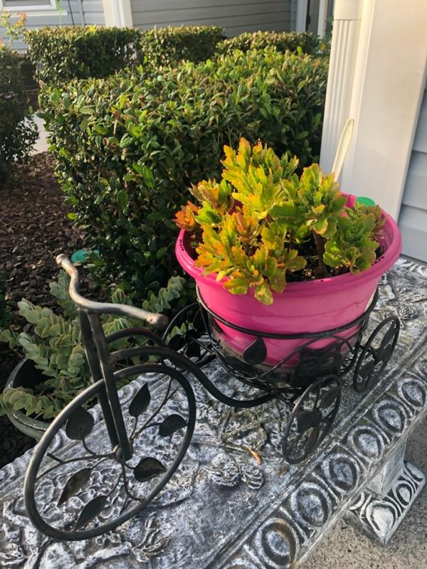 LIBERTY ESTATE SALES formerly BLESSED & GRATEFUL will be in the Village