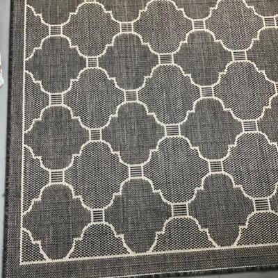 Indoor/outdoor rug $55
9'8