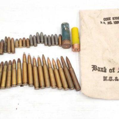 #868 â€¢ Various Types Of Ammo
