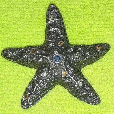 https://www.ebay.com/itm/124776556541	ME3099 MIGNON FAGET STERLING SILVER STARFISH PIN ( BROUCH)		Auction
