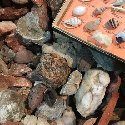 Rocks, Minerals and Seashells