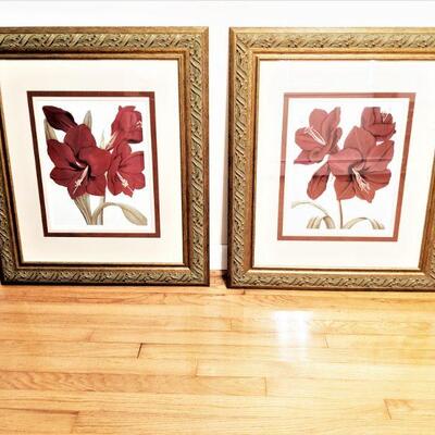 Pair of amarylis matted and framed prints